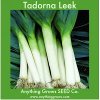 Leek - Tadorna - Organic
